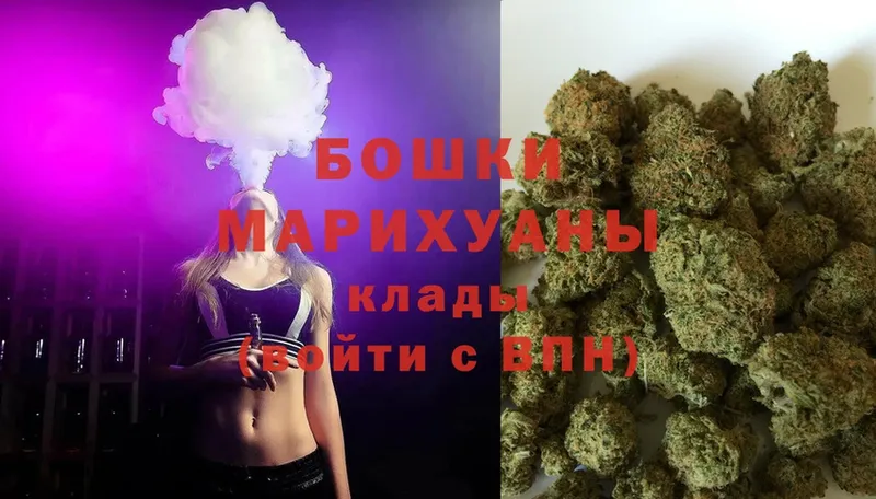 Бошки марихуана OG Kush  Александров 